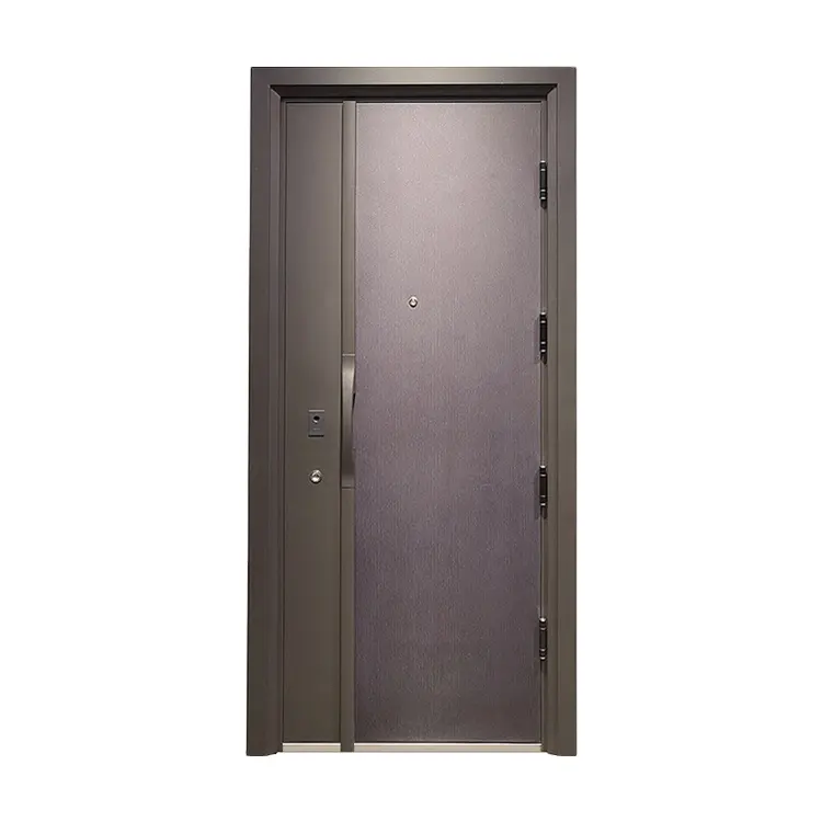 Индивидуальные холоднокатаные стальные двери безопасности, входные наружные металлические двери безопасности, дизайн главной двери