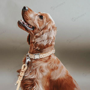 Nuevo diseño de collar y correa para perro, conjunto de lujo trenzado a mano, manos libres, plomo, moderno, de liberación rápida, logotipo personalizado, conjunto de collar para mascotas - Product Image 6