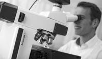 Microscopio Binoculare/Trinoculare Axioscope5/7 con Messa a Fuoco Manuale, Grado di Protezione IP53, Progettato per l'Imaging Ottico in Laboratorio di Materiali