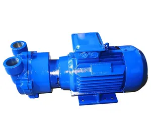 1. 45kw/2hp/Industriële Waterring Vacuümpomp/Vloeibare Ring Vacuüm Pump2bv2061