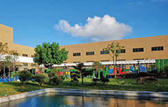 Migliori prezzi di produzione di <span class=keywords><strong>dimensioni</strong></span> standard in euro nuovo usato in plastica <span class=keywords><strong>epal</strong></span> <span class=keywords><strong>pallet</strong></span> 1200x1000 per la vendita - Product Image 6