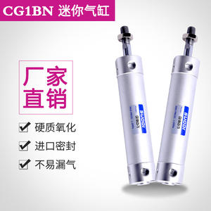 Cylindre pneumatique léger SMC CG1BN 40X25/50/75/100/125/150/175/200 Connexion filetée Vente directe d'usine pour diverses applications - Product Image 3