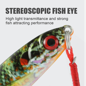 LUSHAZER 1PCS Afundando Metal Chumbo Isca De Pesca Isca Dura 14g 3D Imprimir Água Doce Água Salgada Vertical Casting para Bass Pike Trout - Product Image 5