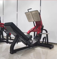 Dinuo 45 °   Machine à presse sur les jambes et à squats Hack, à charge par plaques, avec plateau de repose-pieds en acier inoxydable, pour fessiers et quadriceps