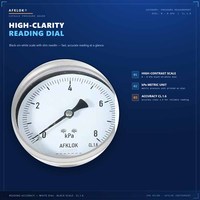 Hot Sale OEM Stainless Steel Customizable Bottom Back Connect Industrial Measuring Instruments with Oil Filling Pressure Gauge