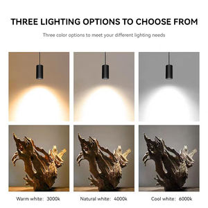 Foco de techo Led antideslumbrante Cob <span class=keywords><strong>Downlight</strong></span> cilindro colgante suspendido lámpara colgante acrílico aleación de aluminio cuerpo Downlights - Product Image 5