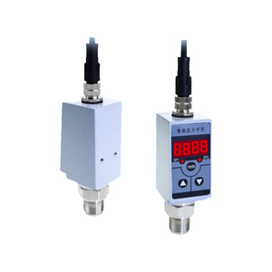 สวิตช์ควบคุมน้ำแบบดิจิตอล ตัวควบคุมมาตรฐานอิเล็กทรอนิกส์ สวิตช์ 1/4 Npt - Product Image 6