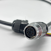 Connecteur Rond Étanche IP68 LP20 pour l'Automobile, Fabrication OEM, 2, 3, 4, 5, 8, 12 Broches, Femelle/Mâle, Connexions de Câbles de Haute Qualité