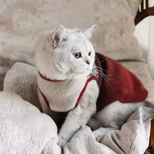 Mode Jacquard <span class=keywords><strong>Pet</strong></span> Sweater Hunde pullover Wind dicht Warm gestrickter Roll kragen pullover Anti Fall Luxus für Hunde pullover - Product Image 4