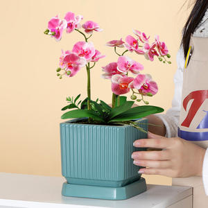 Set Bunga Anggrek Mini Bonsai Niceway Putih 5 Tangkai Sentuhan Asli Gaya Pedesaan Porselen Berlapis Dekorasi Rumah dan Taman - Product Image 4