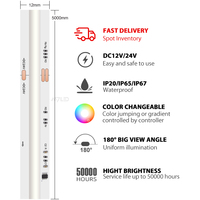 Bande lumineuse LED numérique RGBIC Dreamcolor COB, adressable et programmable, 12/24V, 630 LED, pour mur et plafond