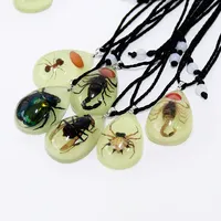 Mode éternel insecte collier séché insecte collier goutte d'eau lueur insecte ambre pendentif collier bijoux cadeau pour les femmes