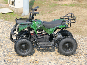 <span class=keywords><strong>Quad</strong></span> enfant <span class=keywords><strong>électrique</strong></span> <span class=keywords><strong>1000W</strong></span> ATV avec compteur de vitesse - Product Image 5