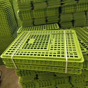 Jaula de transporte de plástico de alta calidad para <span class=keywords><strong>pollo</strong></span> vivo Mejor precio Jaula de transporte de plástico para <span class=keywords><strong>pollo</strong></span> Jaula de transporte para la venta - Product Image 6