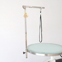 Table de toilettage professionnelle multifonctionnelle pour animaux de compagnie EUR VET, table de toilettage électrique avec lumière LED