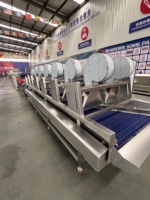 Commerciële fruit- en groentebellenwasser van roestvrij staal, industriële reinigingsmachine