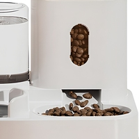 Fontaine à eau pour chat et distributeur automatique de nourriture, ensemble complet avec distributeur d'eau à circulation automatique