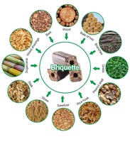Machine professionnelle de fabrication de briquettes de biomasse écologiques et économes en énergie, 22 kW, pour la production de briquettes de charbon de bois
