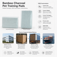 Vente en gros de tapis d'apprentissage jetables pour chiens en charbon de bambou, contrôle des odeurs, super absorbants, anti-fuites, pour chiots, OEM ODM
