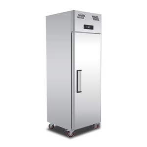 Commerciale 2 grandi porte in acciaio inox Freezer verticale frigorifero profondo per Home Restaurant e cucina per alberghi e <span class=keywords><strong>ristoranti</strong></span> - Product Image 6