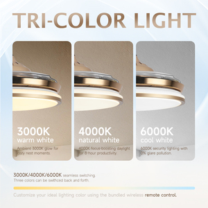 42'' Modern Indoor Retractable Pendant LED Chandelier <b>Ceiling</b> Fans Iron ABS Lamp Body <b>Remote</b> <b>Control</b> for Home Bedroom - Product Image 2