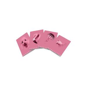 PIGNA - QUAD. MAXI MONOCROMO ROSE 38 FEUILLES QUADR. 1a 2a 3a elem. ASS. - Product Image 1