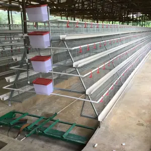 Hot Galvanized Poultry Using 3-Tier 4 Tier Layer A Type Layer Chicken Cage For Sale