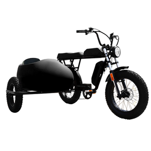 Vélo cargo électrique hybride à double batterie 2023, 48V 750W 1000W 52V 1500W, pneu gras 20*4.0, vélo électrique super 3 roues, side-car 73 - Product Image 2