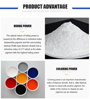 Dióxido de Titanio para Pinturas y Recubrimientos R-818 TiO2, Material Nano con 98% de Pureza, Buena Resistencia a la Intemperie, Paquete de 25 kg, Venta al Por Mayor