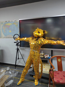 Abito da Gatto Specchiato Donna 2026, <span class=keywords><strong>Costume</strong></span> Scintillante di Tendenza per Spettacoli e Performance Sceniche - Product Image 3