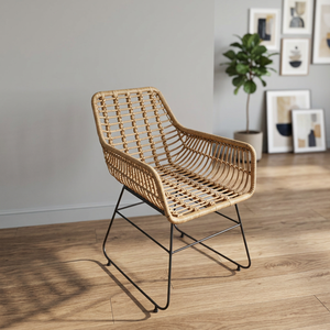 Nouvelle Chaise de Salle à Manger Minimaliste en Rotin PE - Siège de Terrasse Durable avec Cadre en Fer, Coussin Amovible et Tapis - Product Image 5