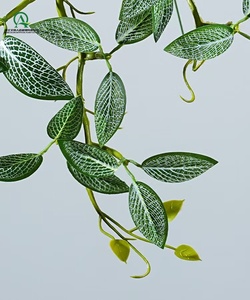 ต้นไม้เทียมตามใบ <span class=keywords><strong>fittonia</strong></span> แขวนอยู่ที่บ้านสวนสำหรับสำนักงานที่หลงทางการแขวนใบไม้สีเขียวไม้เลื้อยเทียม - Product Image 4