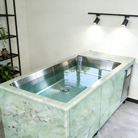 Baignoire de massage spa autoportante pour 2 personnes avec pompe de refroidissement pour bain de glace d'athlètes, revêtement en acier inoxydable de haute qualité