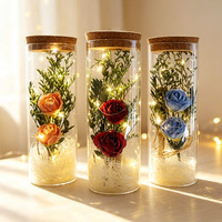 Romantisches Valentinstag Geburtstag Erntedankfest Geschenk Hochwertiges Borosilikatglas Treibflasche Künstliche Rose Warme LED-Feenlampe