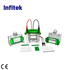 Serbatoio per elettroforesi verticale Mini cella per elettroforesi Infitek, GEP-VH-1