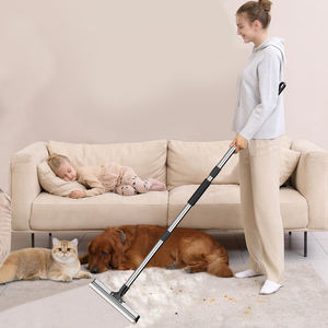 Grande <span class=keywords><strong>brosse</strong></span> réutilisable pour enlever les peluches métalliques pour enlever la fourrure des escaliers de tapis à poils bas - Product Image 1