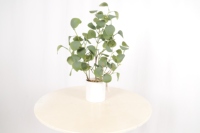 Petites plantes artificielles en pot vert faux verdure bonsaï pour la maison salon bureau