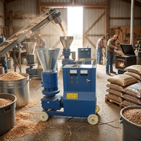 Machine à granulés de bois et de sciure de bois biomasse 300-400 kg/h pour poêle à granulés de bois et cheminée