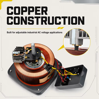 Variac Régulateur TDGC2 AC 220V/380V Haute Puissance 30 KVA Efficacité 98% Sortie Triphasée 0-500V Réglable