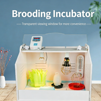 Incubateur moderne à contrôle de température, conception réutilisable, utilisation extérieure, construction carrée en plastique et métal pour poulets, cailles, reptiles