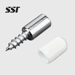 Tornillos Autorroscantes Personalizados y Clavos de Soporte para Placas Divisorias para Fijación de Armarios, OEM Disponible - Product Image 1