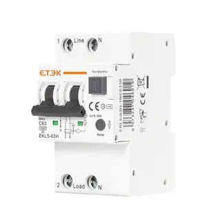 ETEK electric circuit breakers EKL5-2P rcbo chap price over current leakage protection type B 100mA rcd