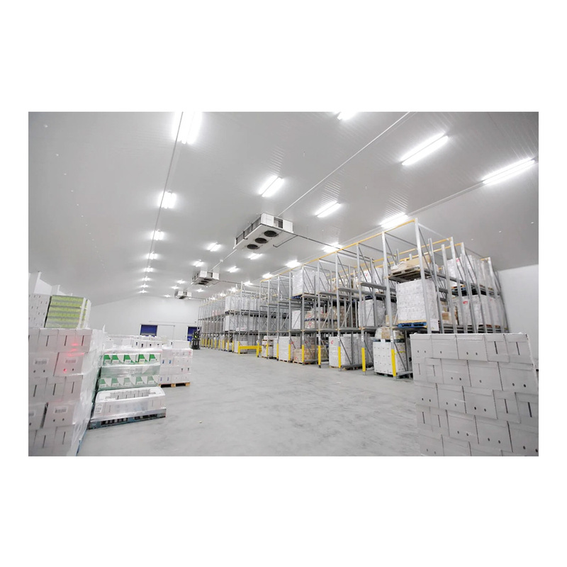 Large Scale Food Grade Cold Storage