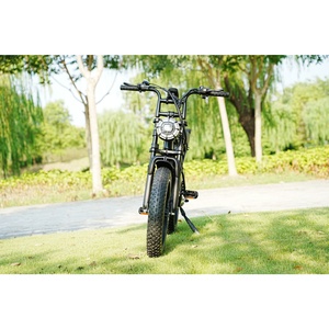 Bicicleta Eléctrica de Montaña Cube V8 Fatbike 250w, Mini Bicicleta Eléctrica para Adultos, Precio de Fábrica, Almacén R002, Política de Compras - Product Image 1