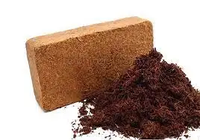 Bloc de sol de départ de graines de granulés de coco de mousse de tourbe de coco