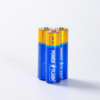 Piles alcalines AA LR6 pour jouets, télécommandes, appareils électroménagers et électronique grand public - Longue durée de vie, garantie 10 ans