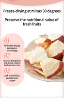 Heetverkopende Fuji Appel Knapperige Schijfjes/Vuile Vormpjes Zoete Gezonde Bulk/Vacuümverpakte Vriesgedroogde Fruitsnacks 5*5mm Kubus voor Wandelingen en Picknicks