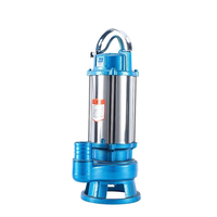 Pompe submersible pour eaux usées en acier inoxydable, certification CE, débit de 100-500 L/min, garantie de 2 ans, contrôle entièrement automatique pour