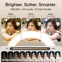Anneau lumineux magnétique pliable de 10 pouces pour diffusion en direct, anneau lumineux portable pour téléphone, lumière de photographie de bureau pour selfie