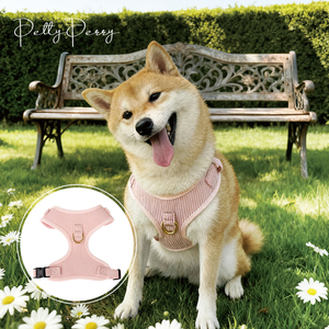 Arnés de Perro de Lujo Personalizado, Ajustable, a Prueba de Escapes, de Terciopelo Acanalado Ligero de Primera Calidad - Product Image 3